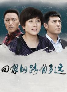 韩剧回家的路在线观看,穿越时空的感人旅程  第2张